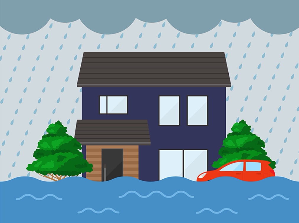 大雨と家