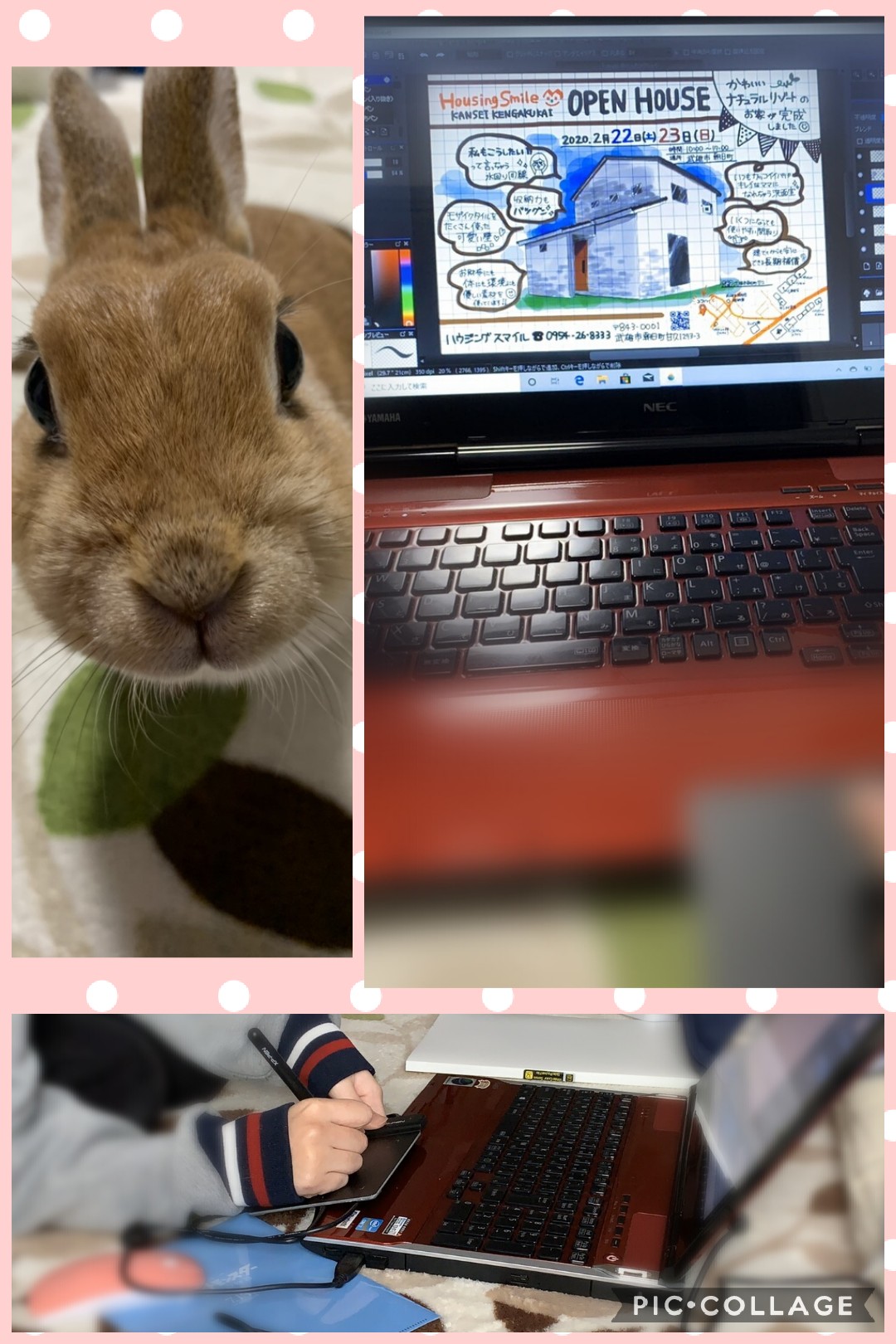 ☆2月のお知らせ☆